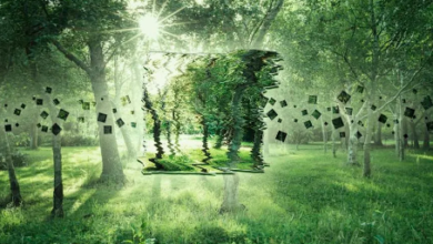 Swarm Intelligence: Lessons From Nature for AI