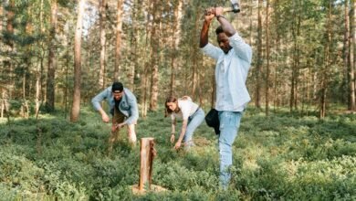 call activity log numbers