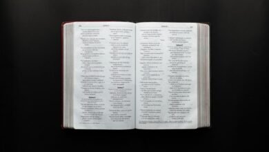 dataset reference document list