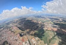 sector development progress report