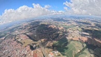 sector development progress report