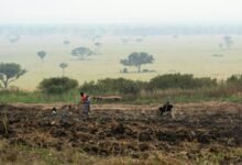 business growth performance metrics