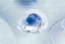 global competitor analysis data