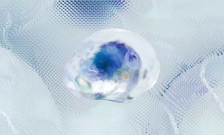 operational risk contact numbers